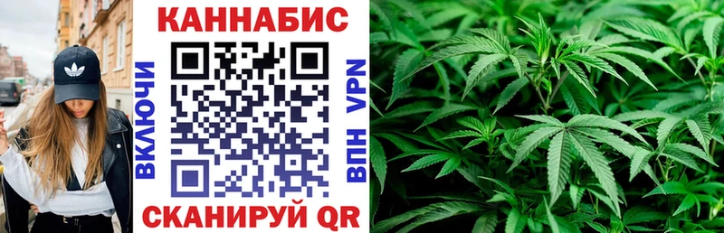 Бошки марихуана тримм  хочу наркоту  Куртамыш 